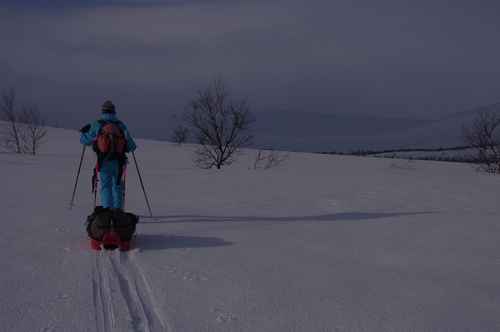 Skieur avec pulka