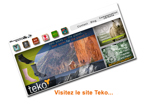Site web Teko