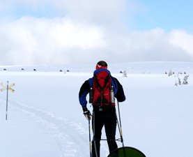 Ski-Pulka  en Suède